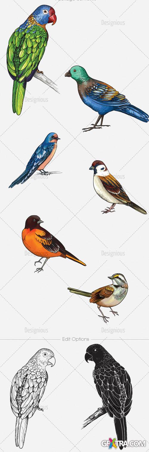 Vector Birds Set 2