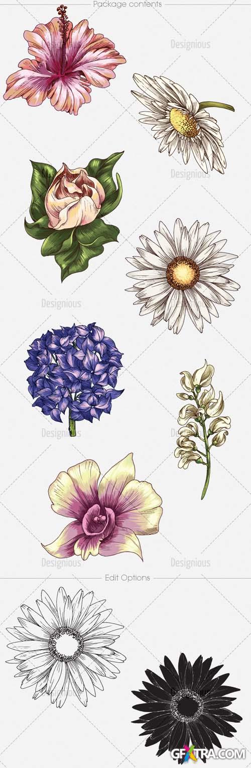 Vector Floral Set 1