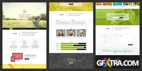 ThemeForest - Vernum - Responsive One Page Parallax Template - RIP