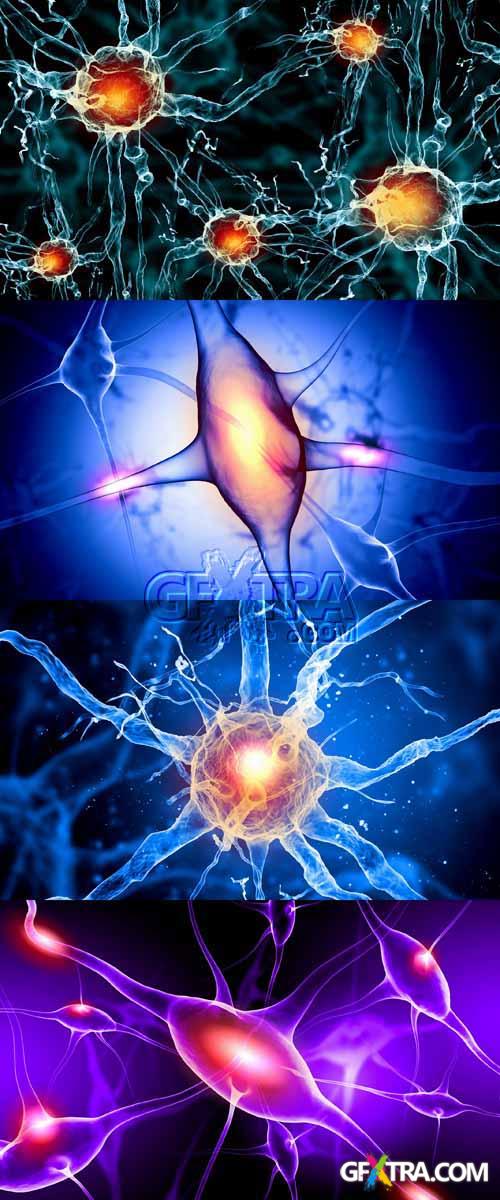 4 HQ Images Neurons