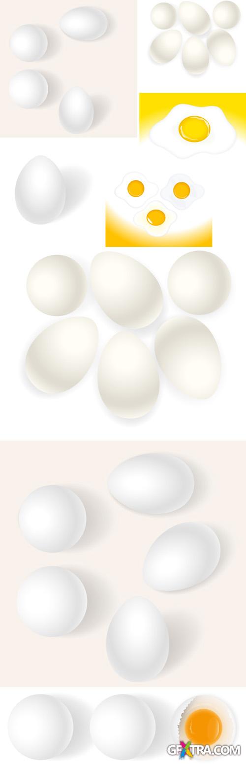 Vector Eggs Set 1