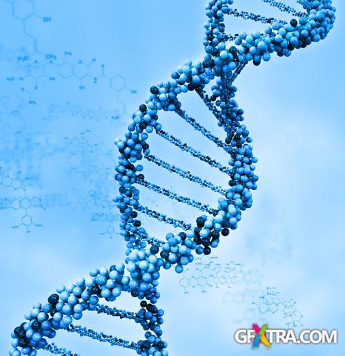 Structure of Human - 25x JPEGs