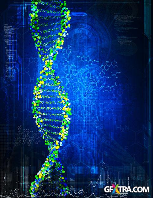 Structure of Human - 25x JPEGs