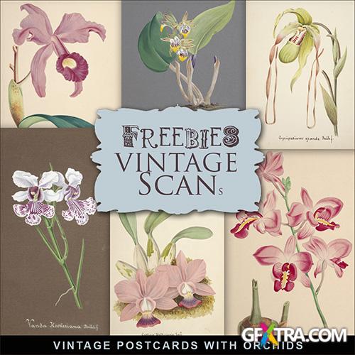 Scrap-kit - Vintage Postcards With Orchids 3