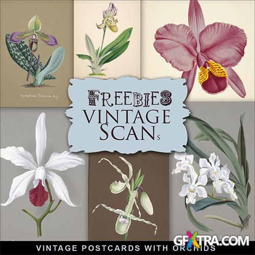 Scrap-kit - Vintage Postcards With Orchids 2