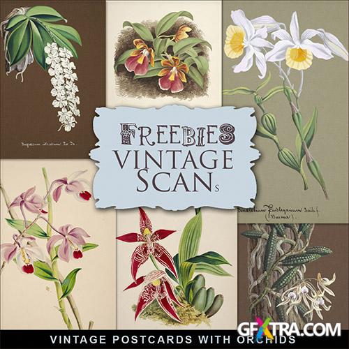 Scrap-kit - Vintage Postcards With Orchids 5