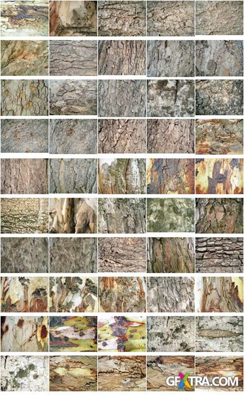 50 Tree Bark Textures Set