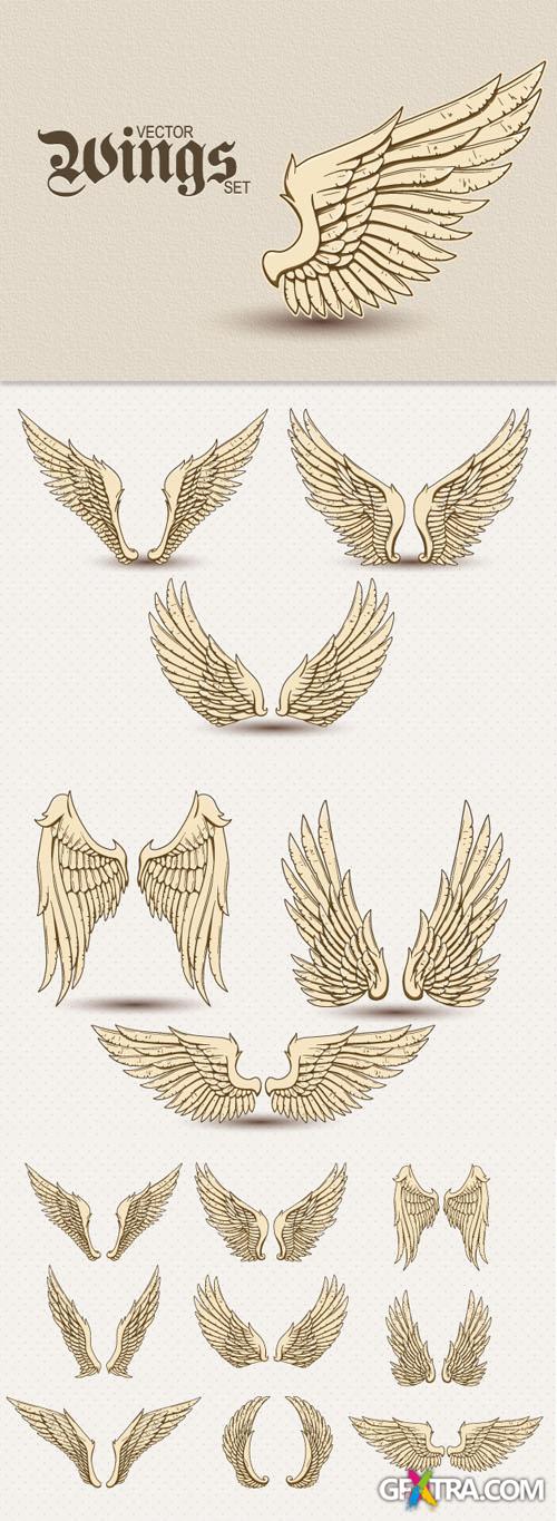 Designtnt - Detailed Vector Wings