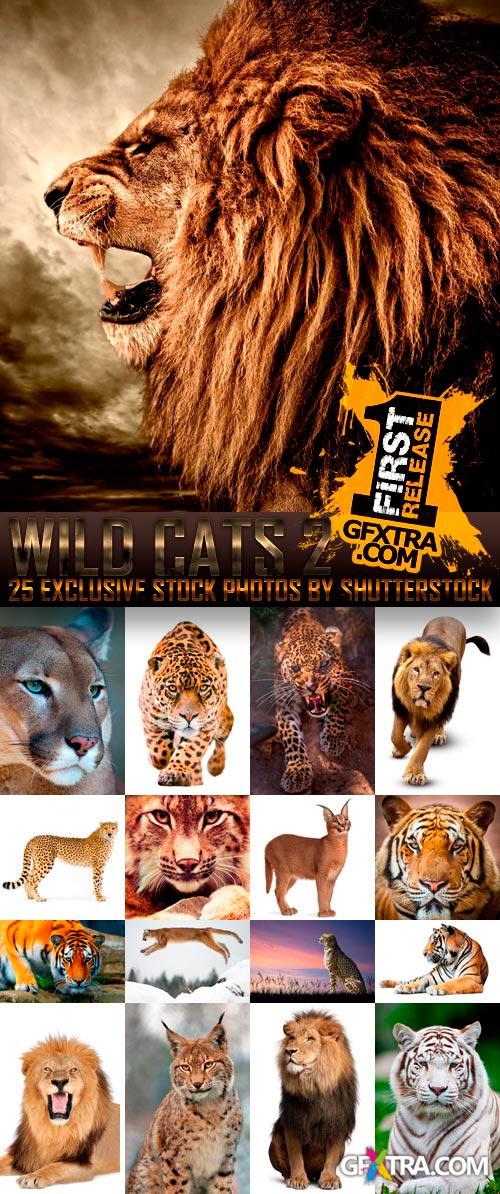 Amazing SS - Wild Cats 2, 25xJPGs