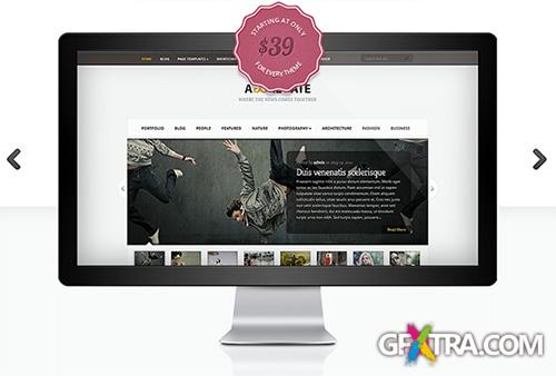 ElegantThemes - Aggregate v3.0 - Theme For WordPress