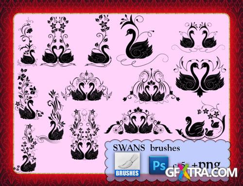 Swans Photoshop Brushes CS5