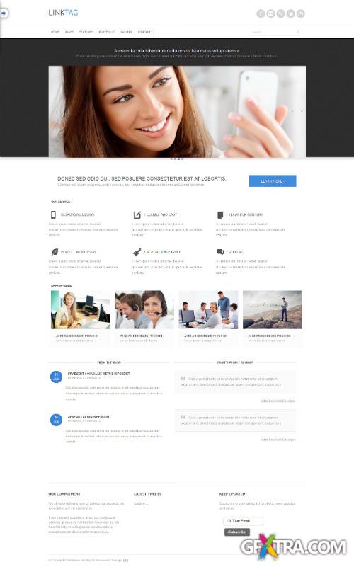 DreamTemplate - linktag - Responsive Website Template