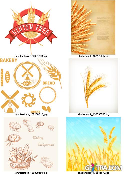 Amazing SS - Bread & Wheat, 25xEPS