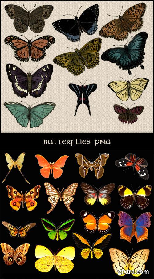 27 Butterflies Clipart PSD Template