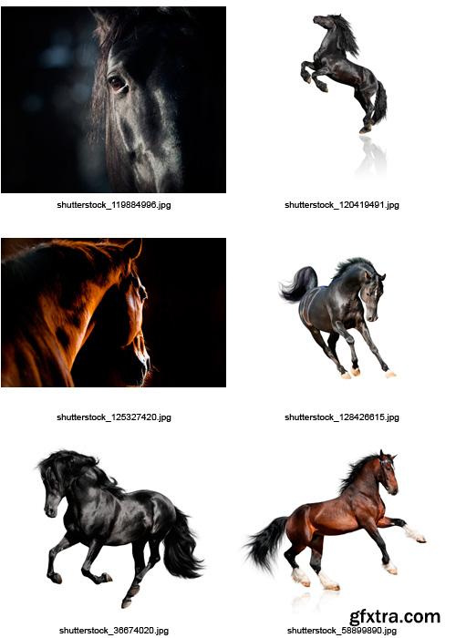 Amazing SS - Beautiful Horses, 25xJPGs