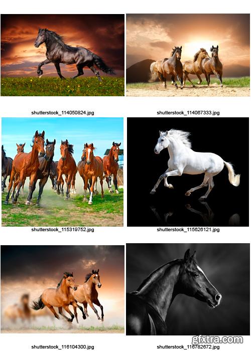 Amazing SS - Beautiful Horses, 25xJPGs