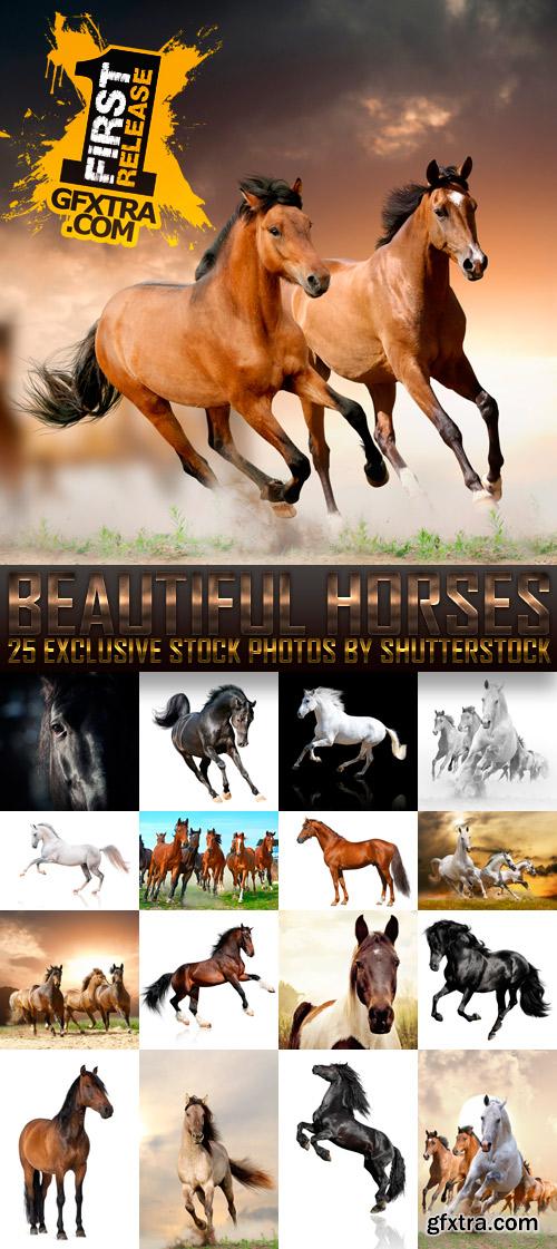 Amazing SS - Beautiful Horses, 25xJPGs