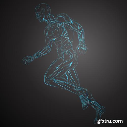 Human Anatomy - Vector Collection