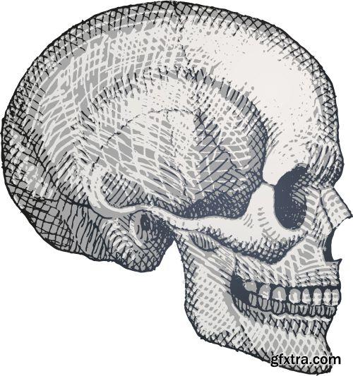 Amazing Skull Design - Shutterstock 25xEPS