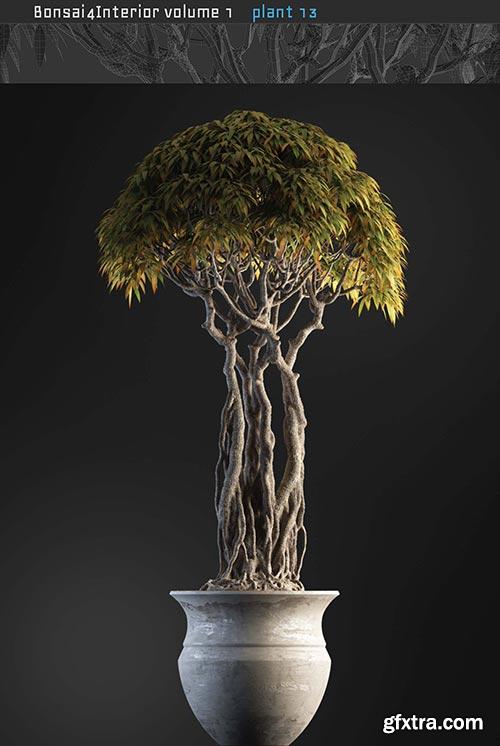 Archicg Plants - Bonsai 4interior v.1