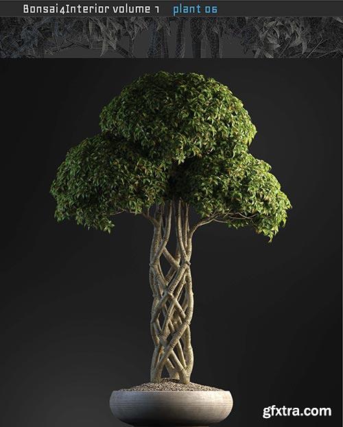 Archicg Plants - Bonsai 4interior v.1