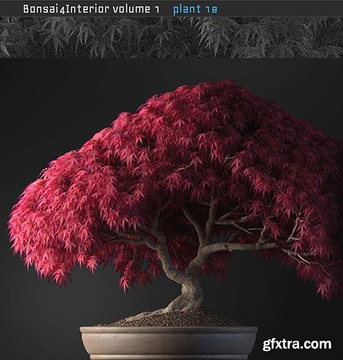 Archicg Plants - Bonsai 4interior v.1