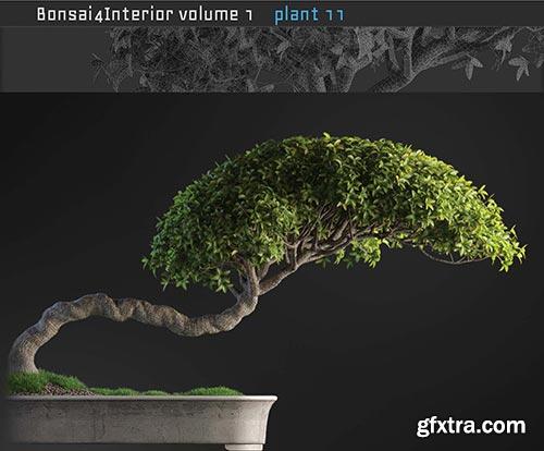 Archicg Plants - Bonsai 4interior v.1