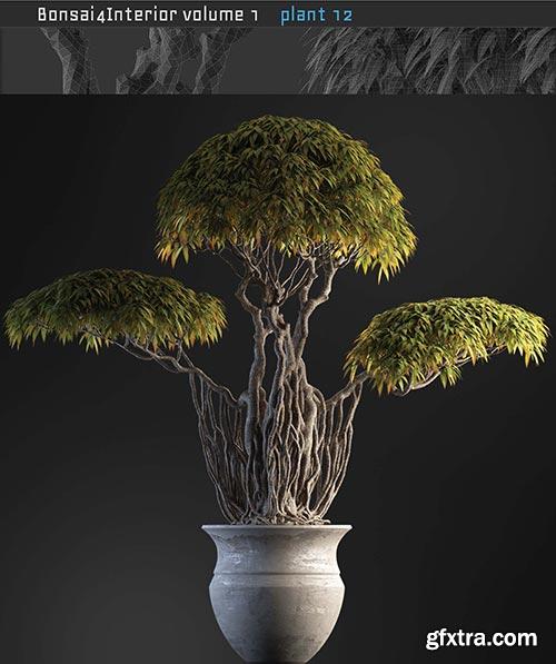 Archicg Plants - Bonsai 4interior v.1