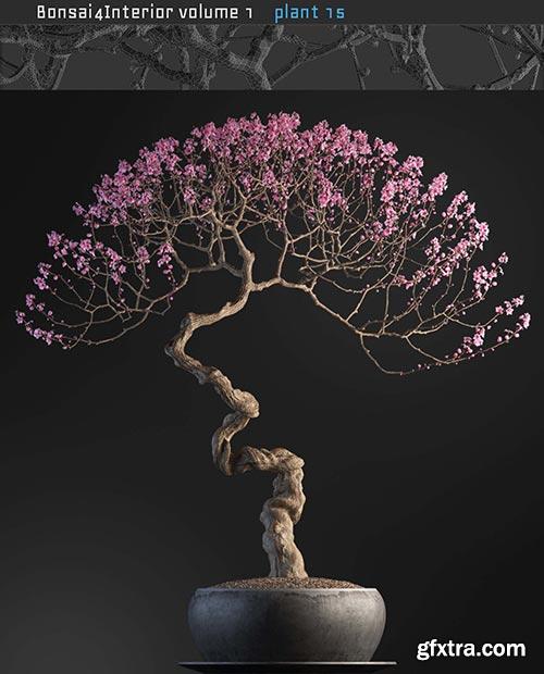 Archicg Plants - Bonsai 4interior v.1