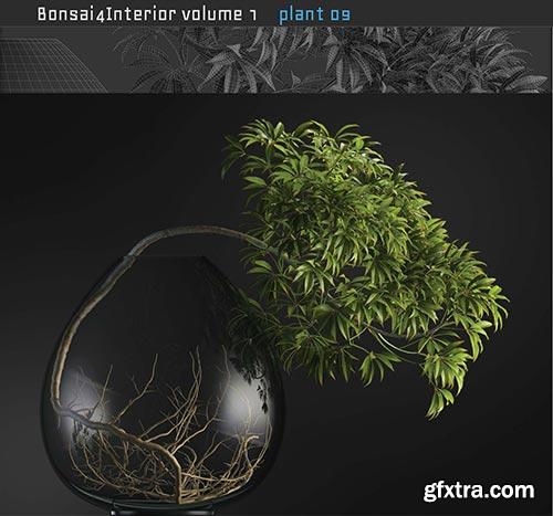 Archicg Plants - Bonsai 4interior v.1