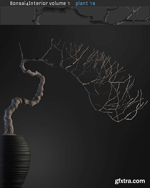 Archicg Plants - Bonsai 4interior v.1