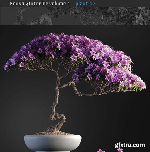 Archicg Plants - Bonsai 4interior v.1