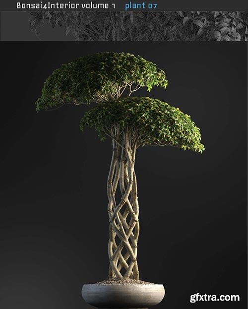 Archicg Plants - Bonsai 4interior v.1