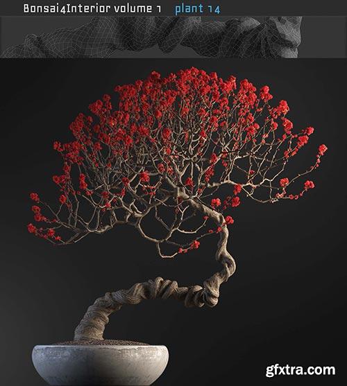 Archicg Plants - Bonsai 4interior v.1