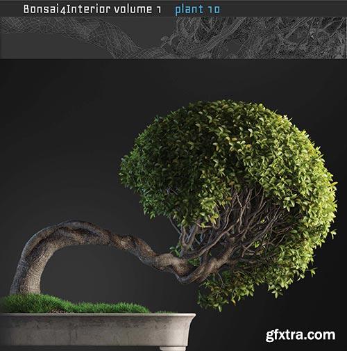 Archicg Plants - Bonsai 4interior v.1