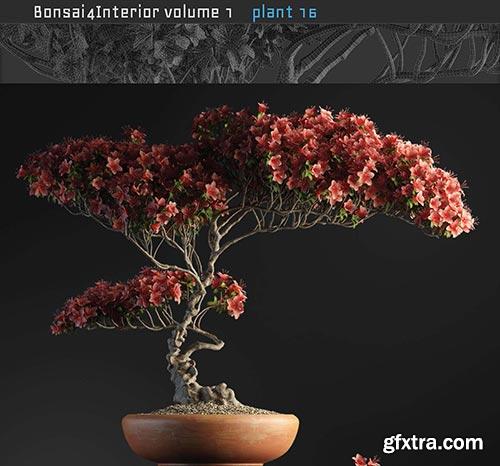 Archicg Plants - Bonsai 4interior v.1