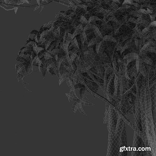 Archicg Plants - Bonsai 4interior v.1