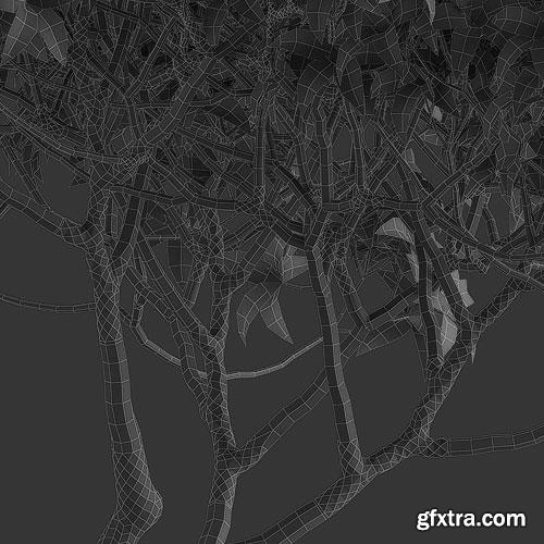 Archicg Plants - Bonsai 4interior v.1