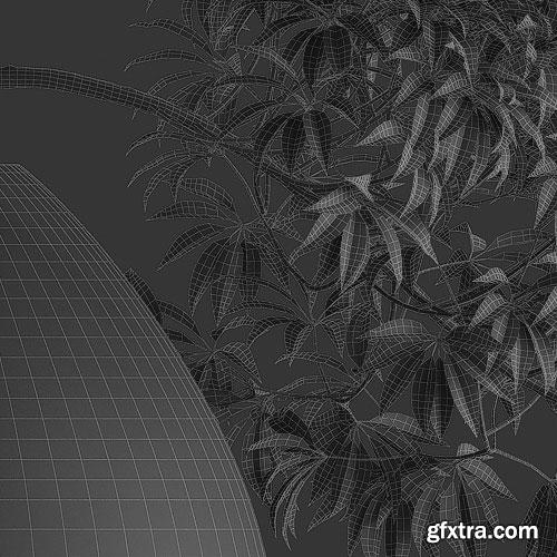 Archicg Plants - Bonsai 4interior v.1