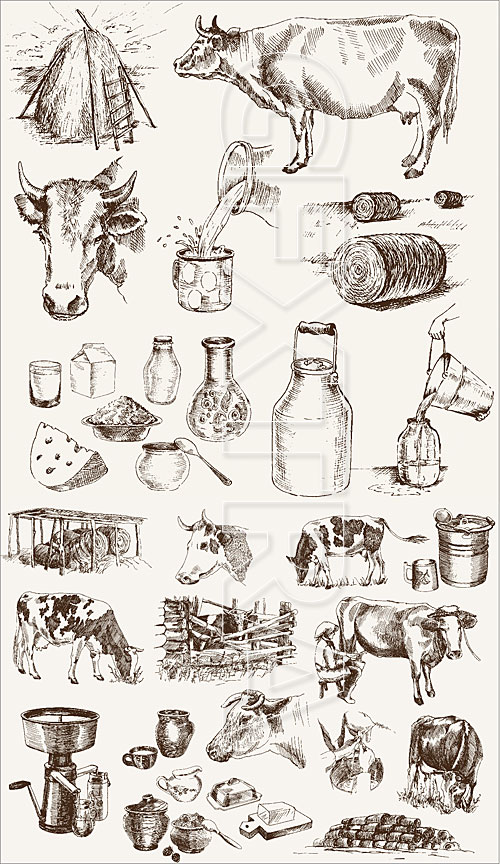 Cow and milk products