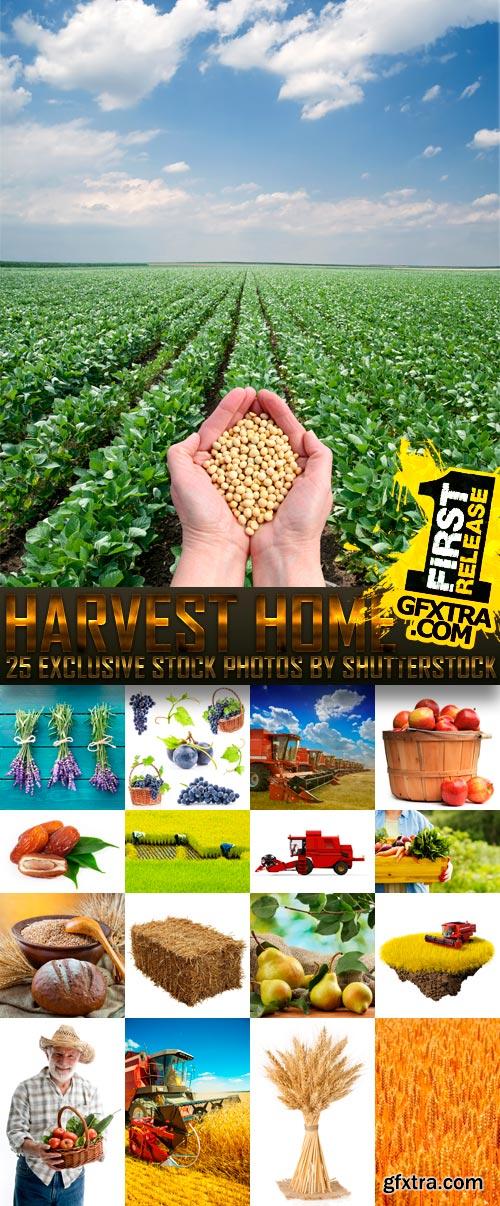 Amazing SS - Harvest Home, 25xEPS