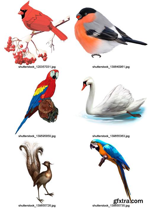 Amazing SS - Collection of Birds, 25xEPS