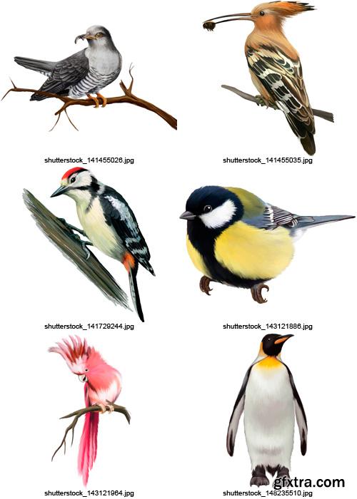 Amazing SS - Collection of Birds, 25xEPS