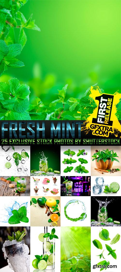 Amazing SS - Fresh Mint, 25xJPGs