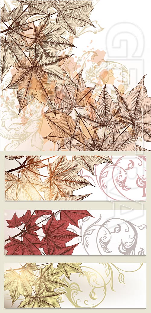 Hand drawn autumn backgrounds with  maple leaves