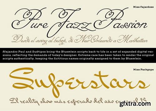 A Variety of Exclusive Fonts 32xTTFs