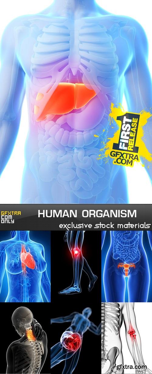 Human organism 25 UHQ