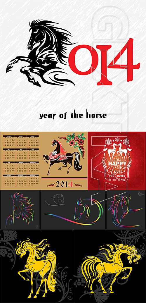 Horse 2014