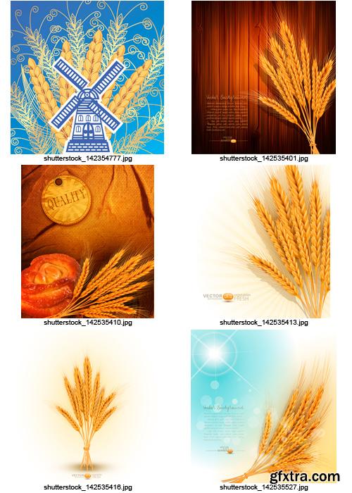 Amazing SS - Bread & Wheat 2, 25xEPS