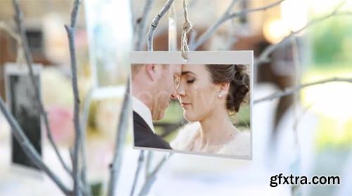 Videohive Photo Gallery at a Country Wedding